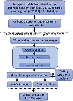 Automated Identification of Skull Fractures With Deep Learning: A Comparison Between Object Detection and Segmentation Approach